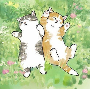 Meet your Posher, Meredith